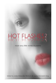 Hot Flashes 2 cover